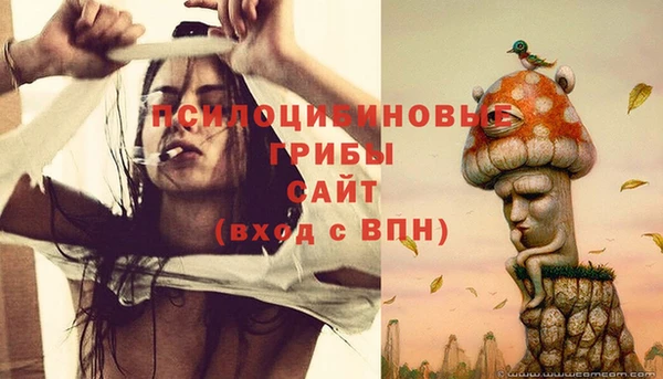 шишки Киреевск