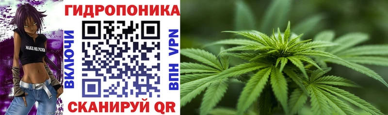 МАРИХУАНА индика  Клин 